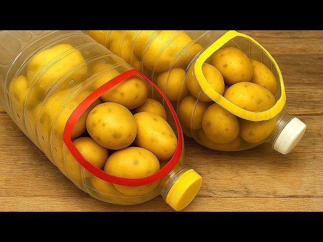 How To Store Potatoes Fresh For A Year Without Spoilage|Clever Tricks