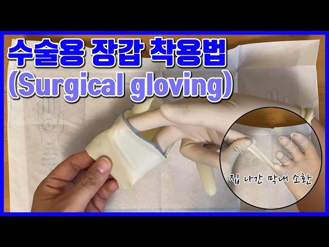 수술용 장갑 끼는 방법 (Surgical Gloving)