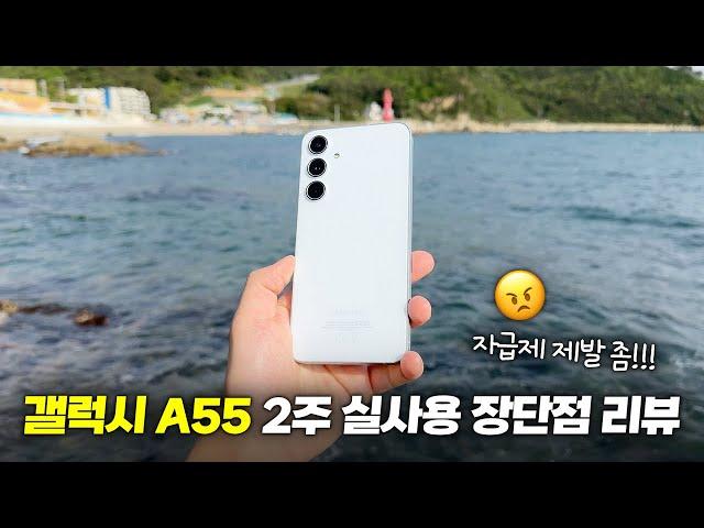 자급제 제발 쫌!!! 갤럭시 A55(퀀텀5) 2주 실사용 장단점 리뷰