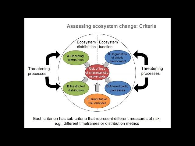 Assessing ecosystem risks: The IUCN Red List of Ecosystems