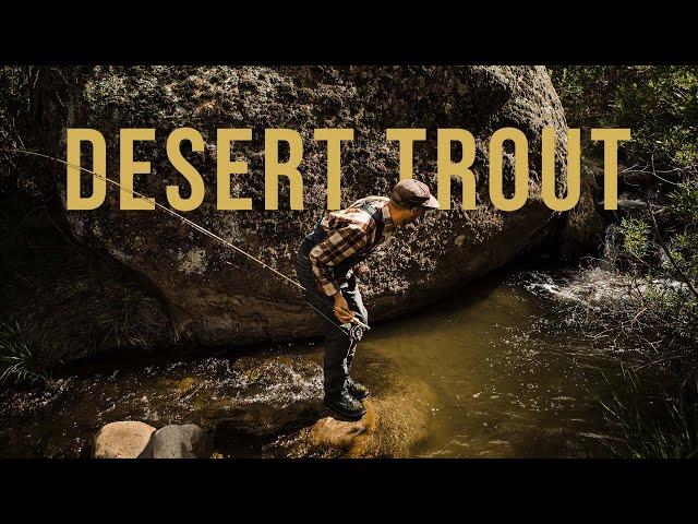 Finding Trout In The Utah Desert | CHANNEL UPDATE