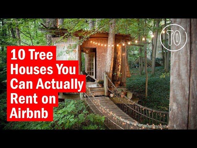 10 Tree Houses You Can Actually Rent on Airbnb