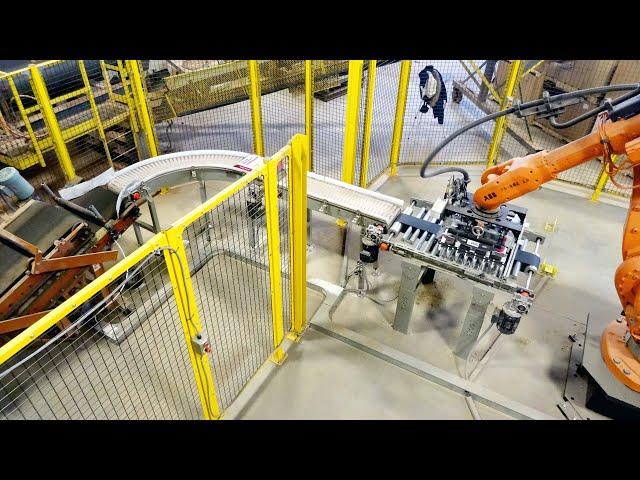 Automated Bag Palletizing Conveyor System - Royal Conveyor Solutions