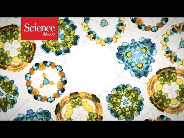 The protein folding revolution