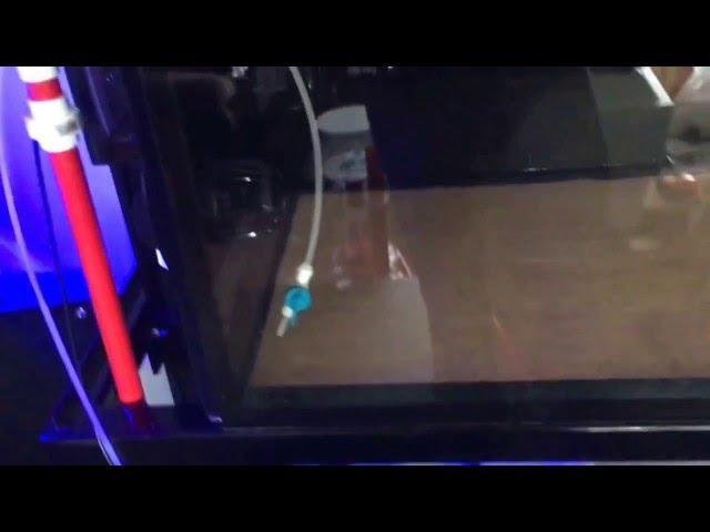 6 foot shallow reef build part 3! Water testing and stand update