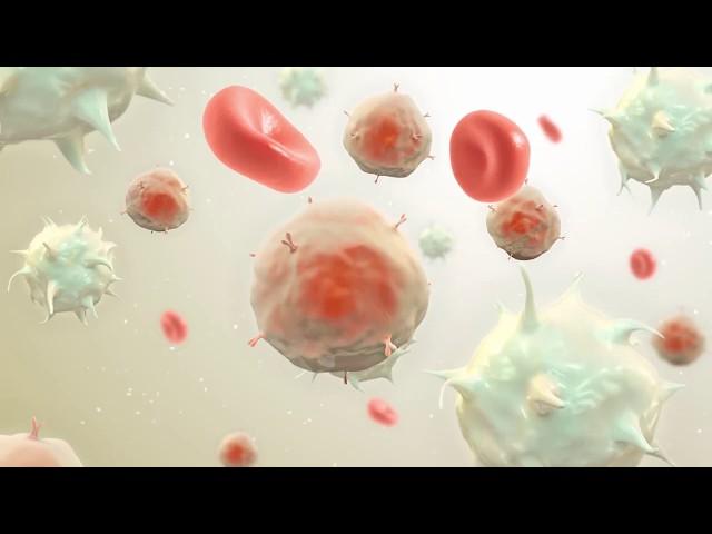 Cell Therapy Manufacturing at Moffitt Cancer Center