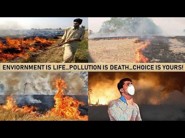 what is stubble burning? how it cause pollution & solutions of this issue.