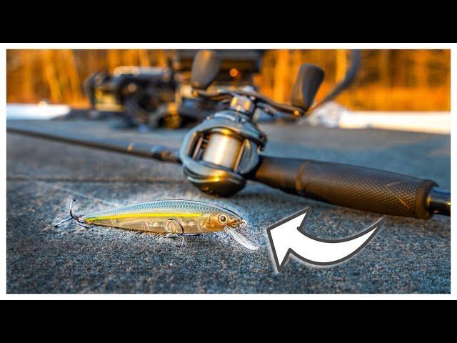 The Jerkbait Fishing Tips NO ONE Has TOLD YOU!!