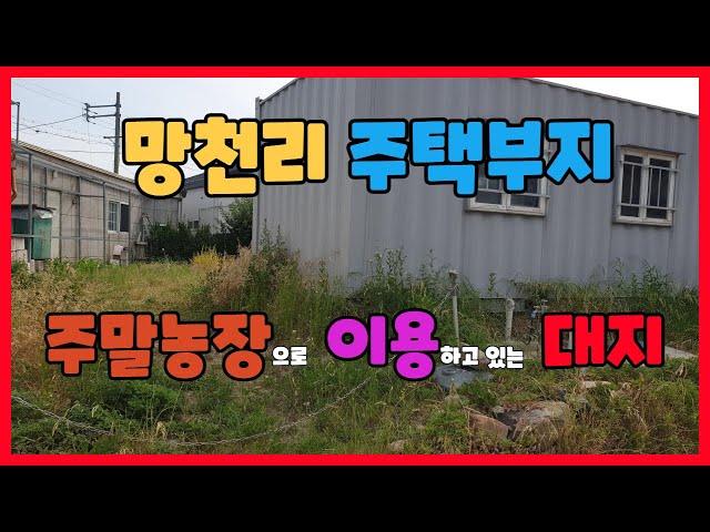 354. 망천리 주말농장매매 조용하고 깨끗한 흥해주택부지매매  주말농장으로 이용중인 포항주택부지매매 망천리 주태부지 매매 흥해주택부지매매 흥해부동산 포항부동산 지목부동산