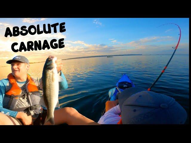 FISH SLAMMING LURES - TOPWATER LURE FISHING - YOU NEED THIS LURE TO CATCH MORE FISH - SUMMER FISHING