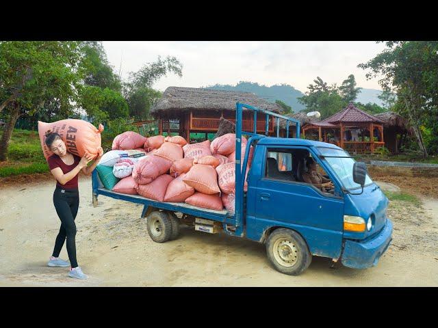 Use Truck To Buy Corn From Farmers To Raise Chickens - Transporting Many Bags Of Corn By Truck