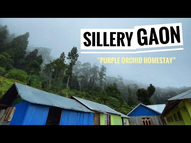 Sillery Gaon - Kalimpong | Purple Orchid Homestay