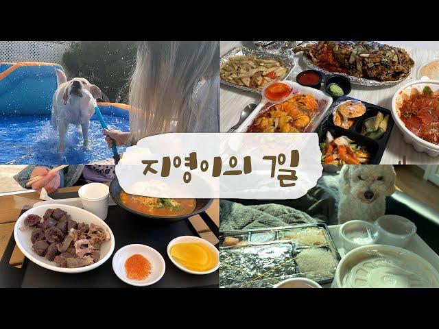나만 이렇게 사는건가