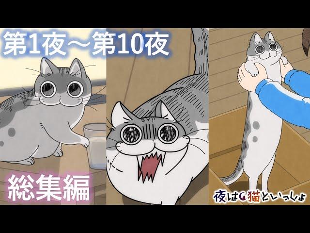 アニメ『夜は猫といっしょ』×10！【第1夜～第10夜まとめ】