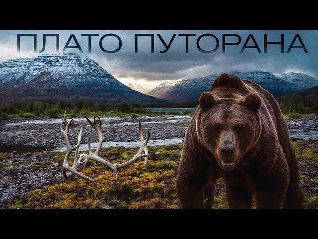 11 ДНЕЙ ПЕШКОМ. Плато Путорана. Русский феномен…