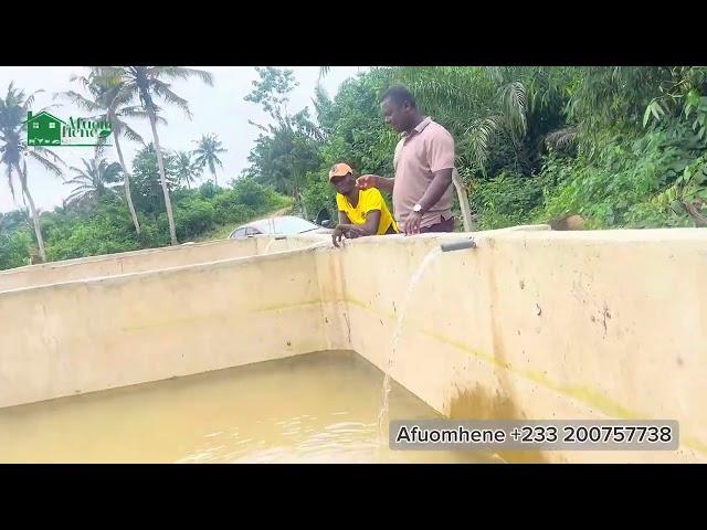 LONGEST JOURNEY TO STOCK FINGERLINGS AT NSEIN-AXIM