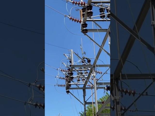 Cat whiskers not doing their job here ️ #linemanlife #lineman #voltage #highvoltage