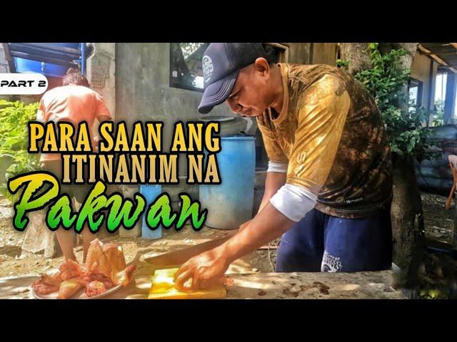 P2 - Si Pongloy Nagpatanim ng Pakwan, Meron nga bang Pinaghahandaan? - EP1583