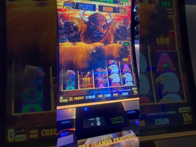 CRAZY JACKPOT LINEPAY ON BUFFALO CASH SLOT! #slots #jackpot #casino #gambling #slot #slotmachine