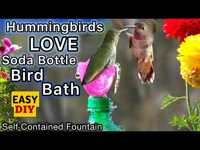 How To Make Hummingbird ENDLESS Water Fountain LOVED Bird Bath EASY Solar Powered TOTALLY PORTABLE