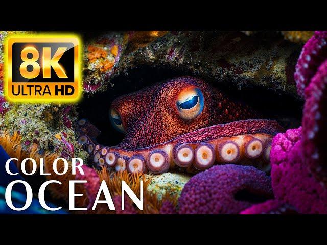 Colors Of The Ocean 8K ULTRA HD - Stunning Coral Reef Fish with Calming Meditation Music