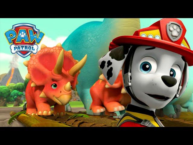 火山爆发啦! 汪汪隊拯救恐龍樂園！還有更多精彩故事！ - PAW Patrol 汪汪隊立大功 - 兒童卡通