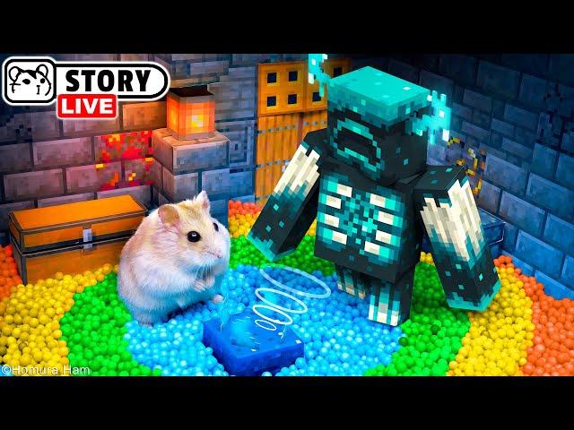 The World's Largest Hamster Minecraft Maze  Homura Ham