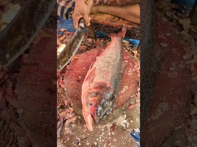 Wow! Amazing Big Size Silver Carp Fish Cutting Live: in Local Fish Market || #shorts #cuttingskills