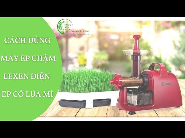 Cách dùng Máy ép chậm Lexen điện để ép cỏ lúa mì đơn giản tại nhà I Bảo hành 1 năm I Hàng chính hãng