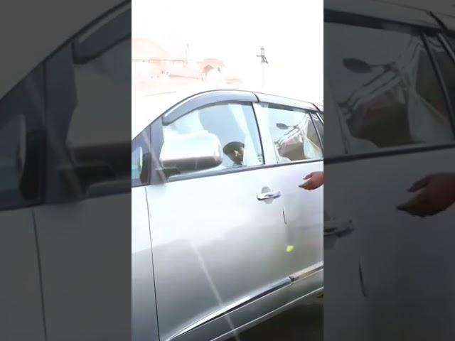 Ashish Patodiya Official | Working Time |