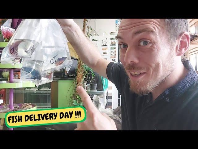 Fish Delivery Day Unboxing  IT ARRIVES!!!! (Snake Island Exotics) #fish #unboxing #aquarium
