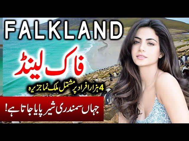 Travel To Falkland island | Full History Documentary About Falkland In Urdu | فاک لینڈ کی سیر