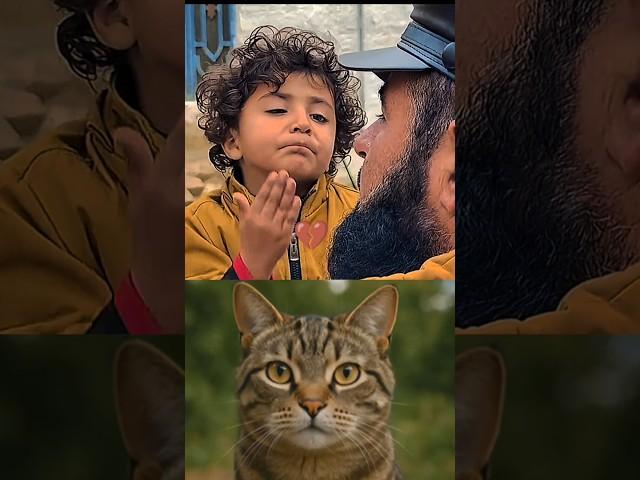 do not use this sound 3 #cat #bombastic #meme #shorts