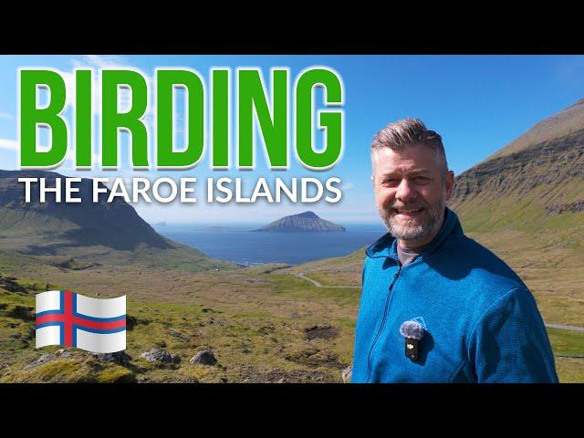 ALL YOU NEED TO KNOW ABOUT BIRDING THE FAROE ISLANDS