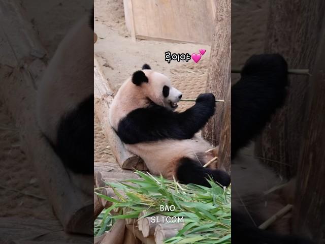 그 누구보다 밥에 진심인여자 강루이밥먹을때는 건드리는거아니에욧!