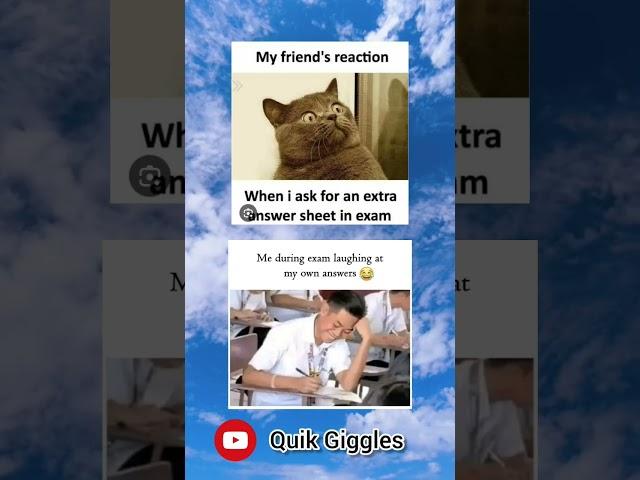 Daily Dose of #meme #funny