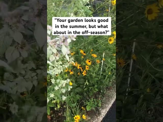 "Your native plants look bad in the winter" - #nativeplants