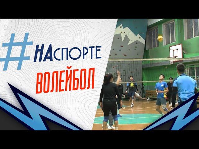 Волейбол | #НАспорте