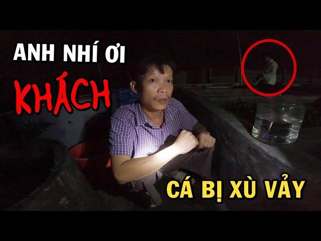 Nữa đêm Ông Chủ Trại Cá Betta gặp vị khách không mời mà tới