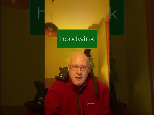 Word of the day:  Hoodwink