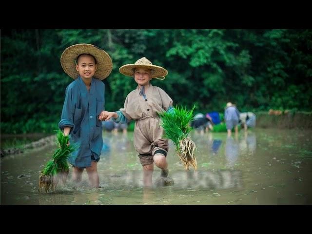 祖師禪的精髓——用佛法的智慧透視生活  宗性法師