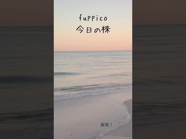 今日の株