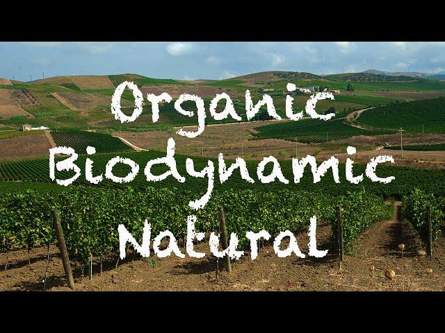 Organic vs Biodynamic vs Natural Wines