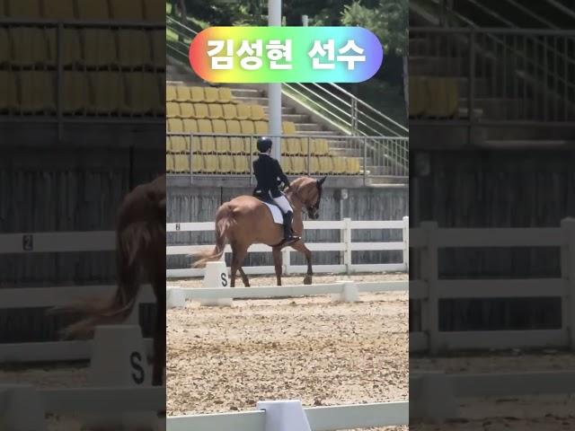 [DK Horse] 김성현 선수 & 다이아몬드폴즈 | 모비이콰인 | D Class 시합전 | 제40회 대통령기 마장마술 | YU 당신이 주인공 | 승마 Horse Riding