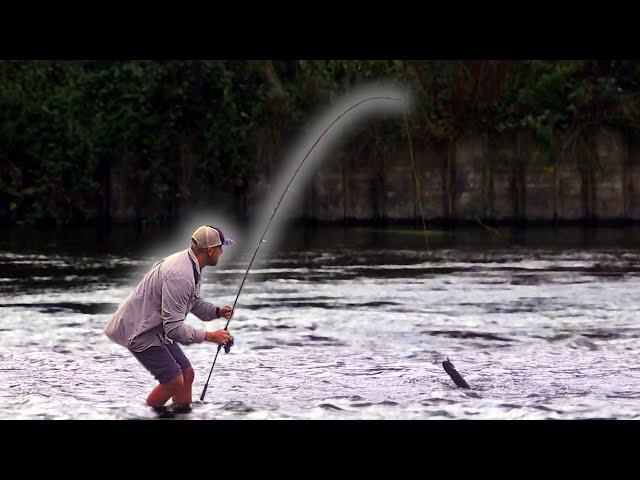 Fantastic long cast lure fishing rod tested: PureLure Flight Dance