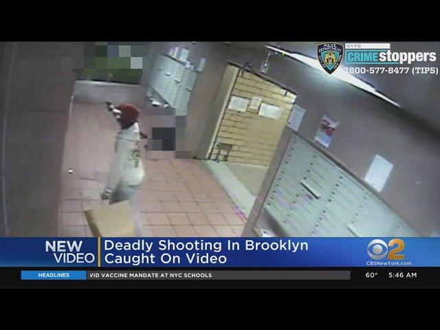 Deadly Shooting Caught On Video In Brooklyn