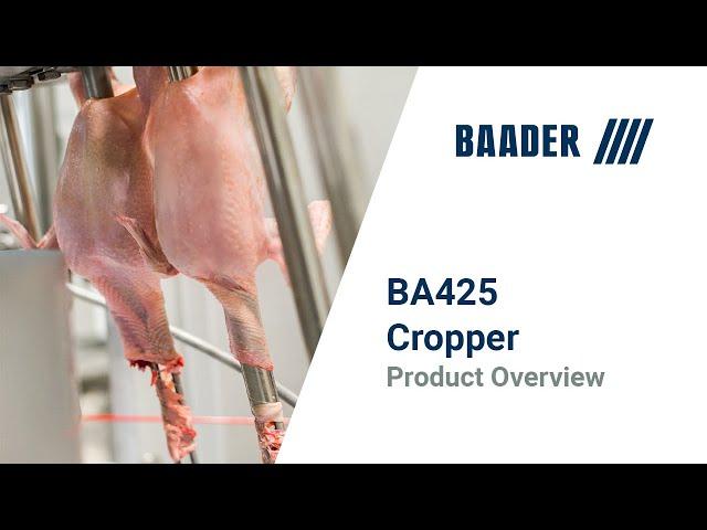 BAADER 425 Cropper