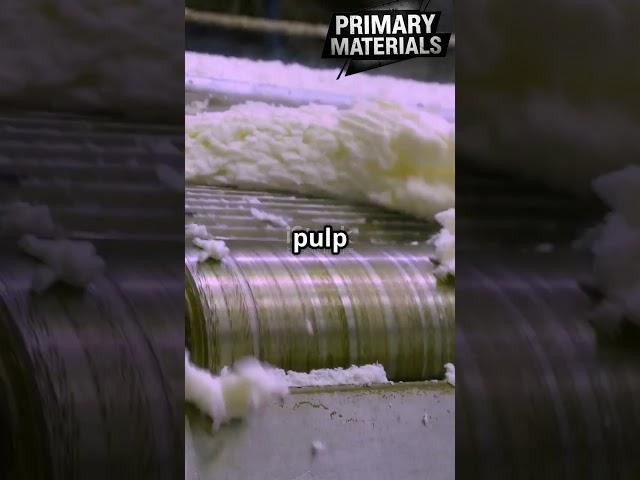From Pulp to Paper: The Journey of a Sheet! #curiosity #paper