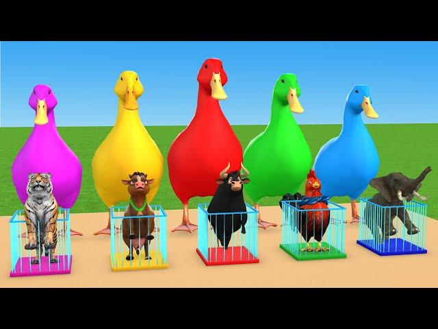 5 Giant Duck & Wild Animals Cage Game Cow Gorilla Rhinoceros Elephant Sheep Crossing Fountain