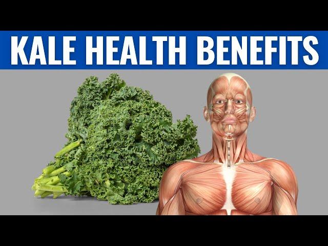 KALE BENEFITS - This is Why Kale is a Superfood!